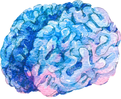 Watercolor Brain